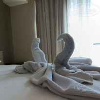 фото из отзыва ID 2744886