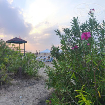 фото из отзыва ID 2744869