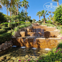 фото из отзыва ID 2744895