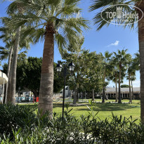 фото из отзыва ID 2744907