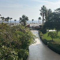 фото из отзыва ID 2744908