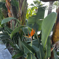 фото из отзыва ID 2744913