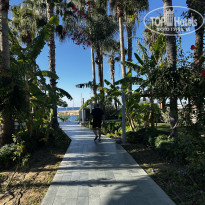 фото из отзыва ID 2744913