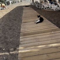 фото из отзыва ID 2744913