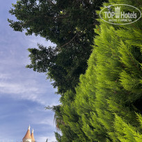 фото из отзыва ID 2744913