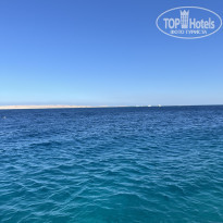 фото из отзыва ID 2744930