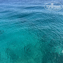 фото из отзыва ID 2744930