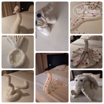 фото из отзыва ID 2744983