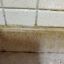 фото из отзыва ID 2745010