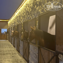 фото из отзыва ID 2745020