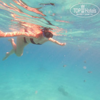 фото из отзыва ID 2745020