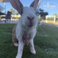 фото из отзыва ID 2745020