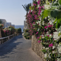 фото из отзыва ID 2745027