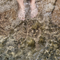 фото из отзыва ID 2745027