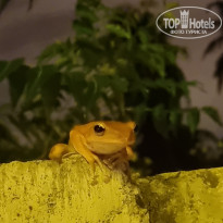 фото из отзыва ID 2745019