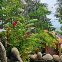 фото из отзыва ID 2745019