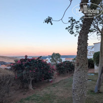 фото из отзыва ID 2744938