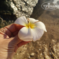 фото из отзыва ID 2744830