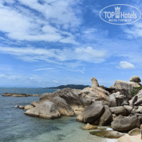 фото из отзыва ID 2745081