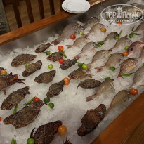 фото из отзыва ID 2745085