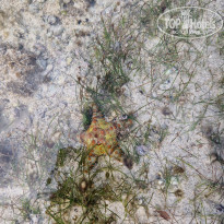 фото из отзыва ID 2745089