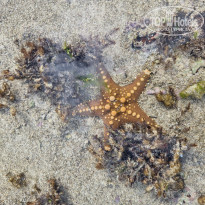 фото из отзыва ID 2745089