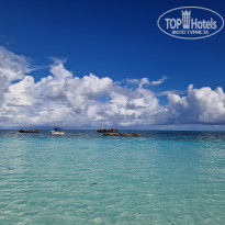 фото из отзыва ID 2745089