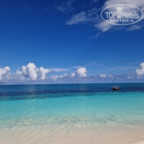 фото из отзыва ID 2745089