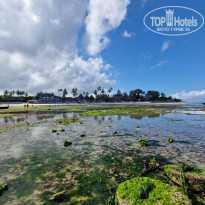 фото из отзыва ID 2745089