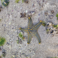 фото из отзыва ID 2745089