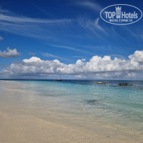 фото из отзыва ID 2745089