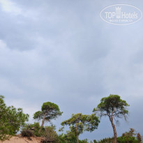 фото из отзыва ID 2745098