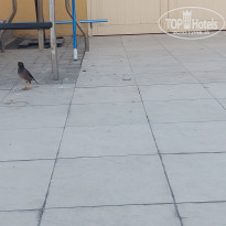 фото из отзыва ID 2745106