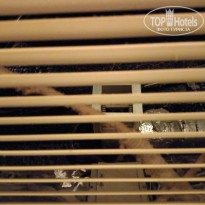 фото из отзыва ID 2745104