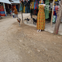 фото из отзыва ID 2745089