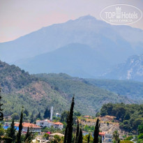 фото из отзыва ID 2745118