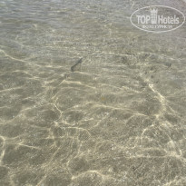 фото из отзыва ID 2745120