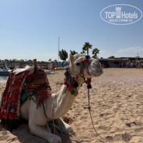 фото из отзыва ID 2745156