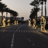 фото из отзыва ID 2745156