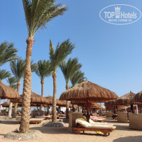 фото из отзыва ID 2745156