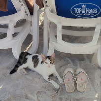 фото из отзыва ID 2745177