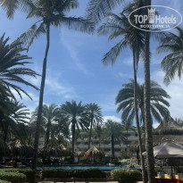 фото из отзыва ID 2745188