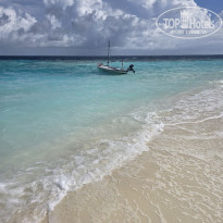 фото из отзыва ID 2745215