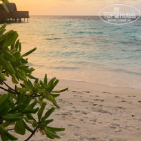 фото из отзыва ID 2745215