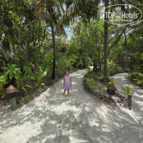 фото из отзыва ID 2745215