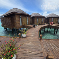 фото из отзыва ID 2745215