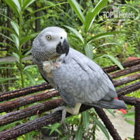 фото из отзыва ID 2745215