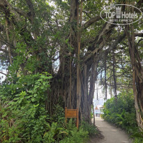 фото из отзыва ID 2745215