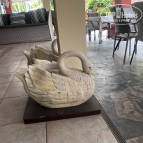 фото из отзыва ID 2745221