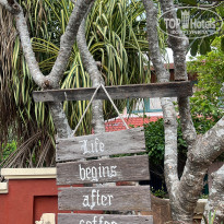 фото из отзыва ID 2745221